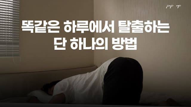 매일 똑같은 하루 어떻게 재미를 찾을 수 있을까?