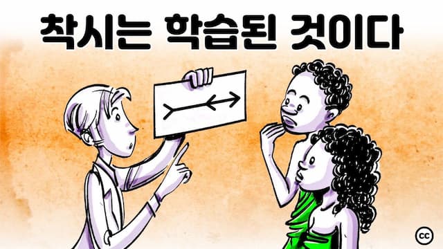 착시현상: 우리의 눈을 믿을 수 있을까?
