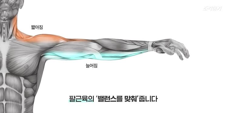 팔뚝살 제거 3단계 속전속결 지름길 루틴🔥붓기→라인→탄력🔥 - screenshot_11.jpg