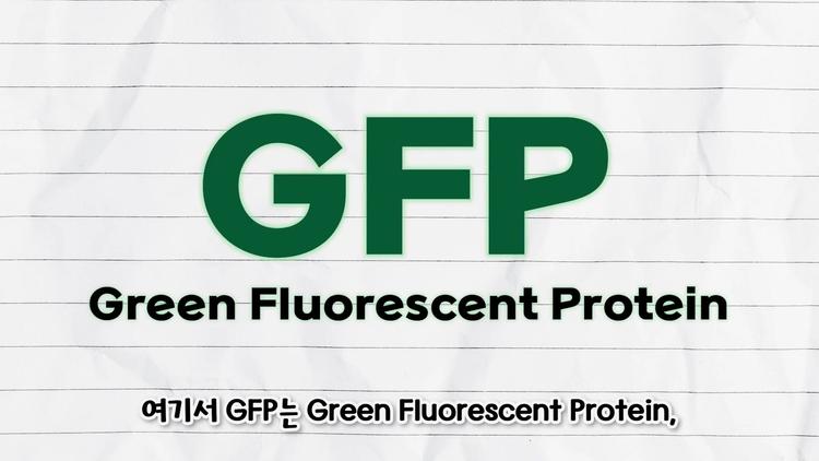 해파리에서 발견한 녹색 형광 단백질의 놀라운 가치 - screenshot_11.jpg