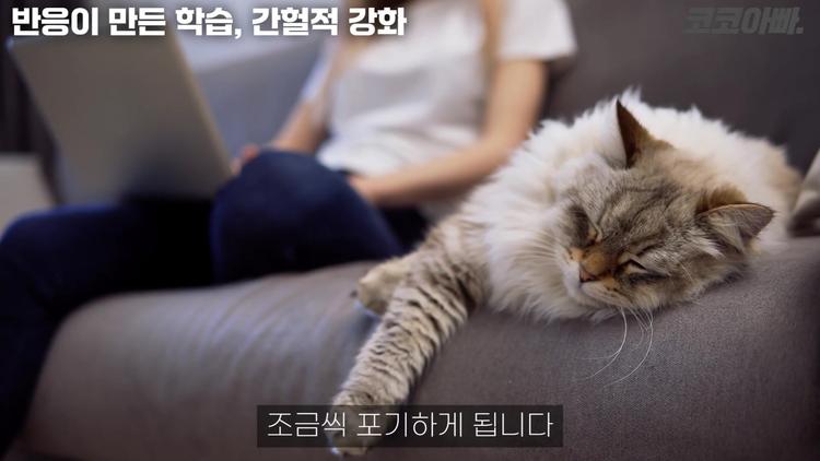 일관된 반응의 중요성 - screenshot_03.jpg