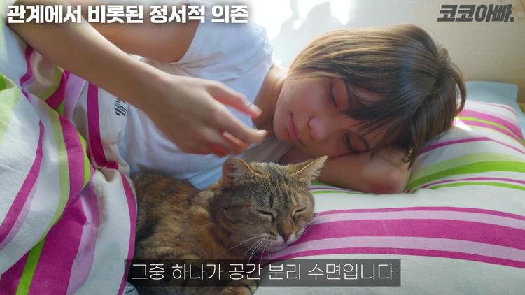 정서적 유대감과 공간 분리 - screenshot_11.jpg