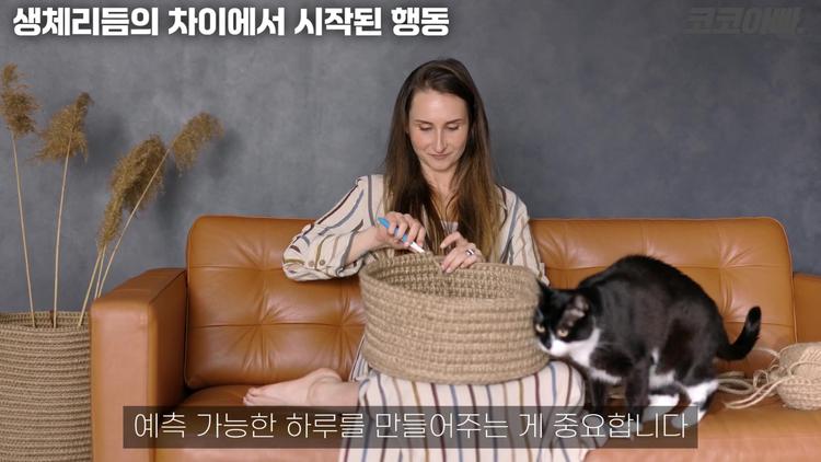 예측 가능한 일상 루틴의 중요성 - screenshot_01.jpg