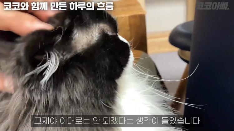 개인 경험을 통한 실제 적용 사례 - screenshot_11.jpg