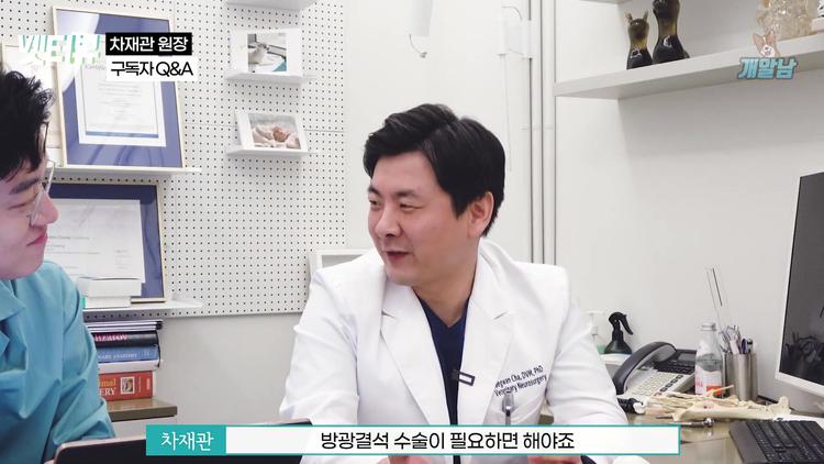 # 10살 강아지의 방광 결석 수술 - screenshot_01.jpg