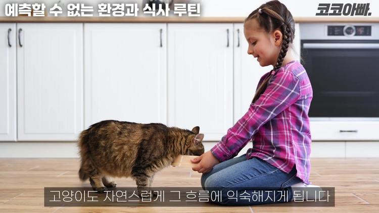 정서적 유대감과 공간 분리 - screenshot_01.jpg