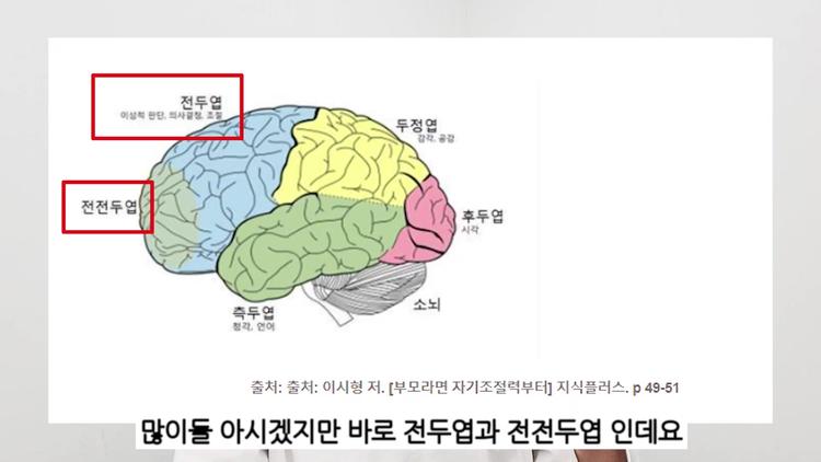 의지력과 뇌 에너지의 관계 - screenshot_11.jpg