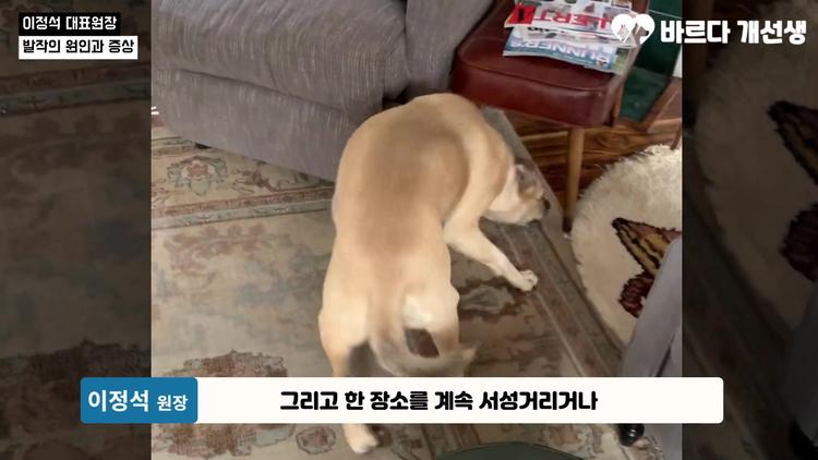 # 2단계: 전조 증상 - screenshot_11.jpg