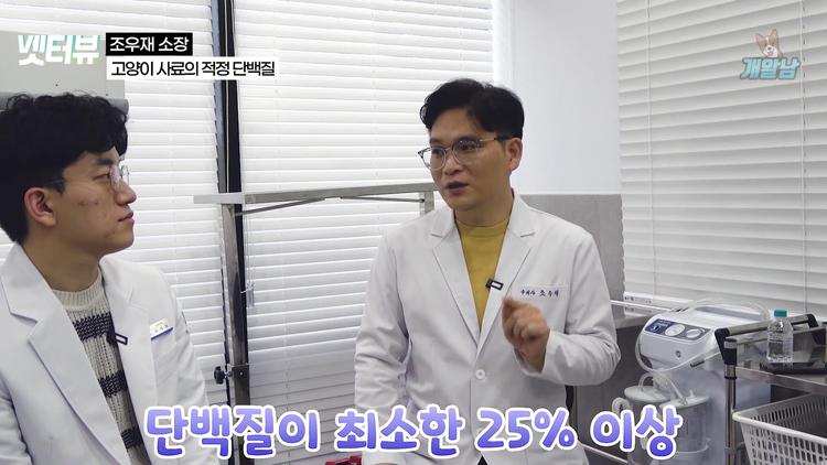 고양이 사료의 단백질 함량, 얼마가 적정할까? - screenshot_01.jpg