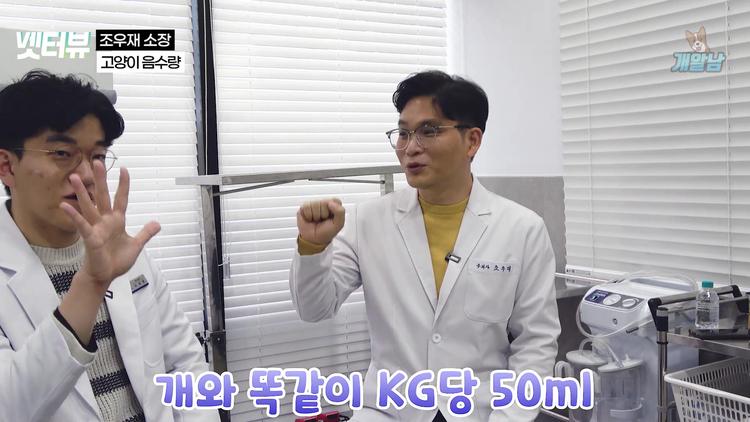 고양이 건강의 핵심: 충분한 수분 섭취법 - screenshot_01.jpg