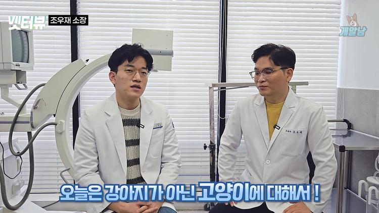 놀라운 변화: 고양이 시장의 급성장 - screenshot_01.jpg