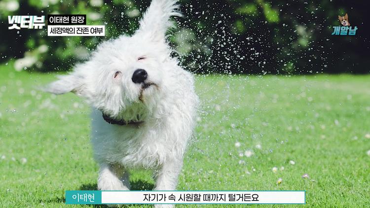 귀 세정제가 남아있어도 괜찮을까요? - screenshot_04.jpg