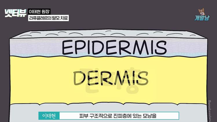 피부 종양과 탈모 치료에도 효과적 - screenshot_11.jpg