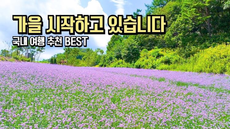 8월 매력적이고 숨겨진 국내 여행 추천 BEST #국내여행 #여행추천