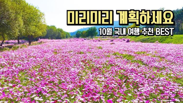 10월 국내 여행 추천 BES 미리 미리 계획하세요 #국내여행 #여행추천