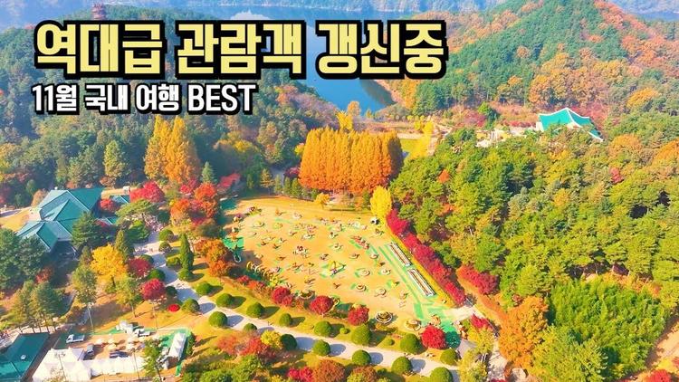 국내 여행 11월 BEST 역대급 관람객 갱신 중인 가을 명소 #국내여행 #여행추천