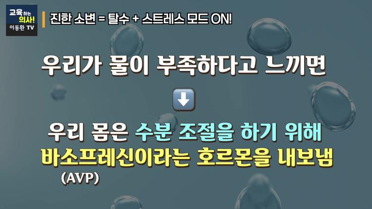 ⚡ 바소프레신 호르몬의 이중 작용 - screenshot_05.jpg