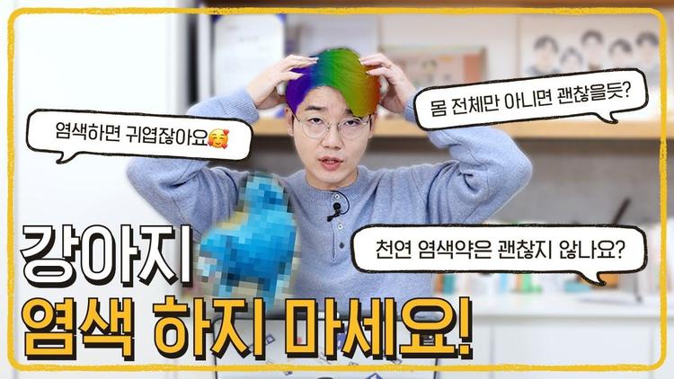 강아지 염색 해도 되는 것 아닌가요? 🌈 l 반려생활 이슈 체크 🕵🏻‍♂️ l 설채현 행동학 수의사