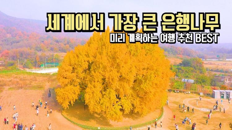 10월 국내 여행 추천 BEST 단풍 은행 명소 미리미리 계획하세요 #여행추천 #국내여행