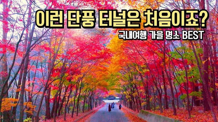 10월 국내 여행 추천 BEST 단풍시즌 곧 시작합니다 #국내여행 #여행추천