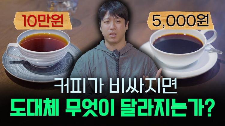 생두 혹은 커피 한 잔이 비싸지면, 무엇이 달라지는가? 알고 마십시다!